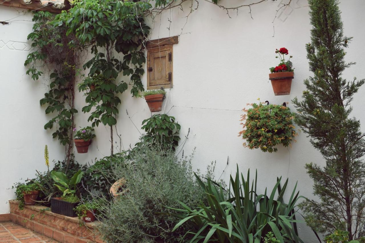 Apartamentos Turisticos La Vida De Antes كونسويغرا المظهر الخارجي الصورة